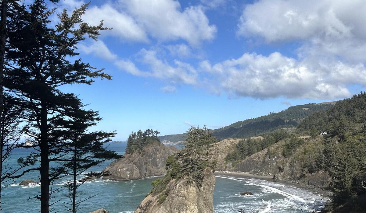 Oregon Coast North of Brookings